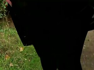 丸い男性カップルとメンバークソ 女性 え ...